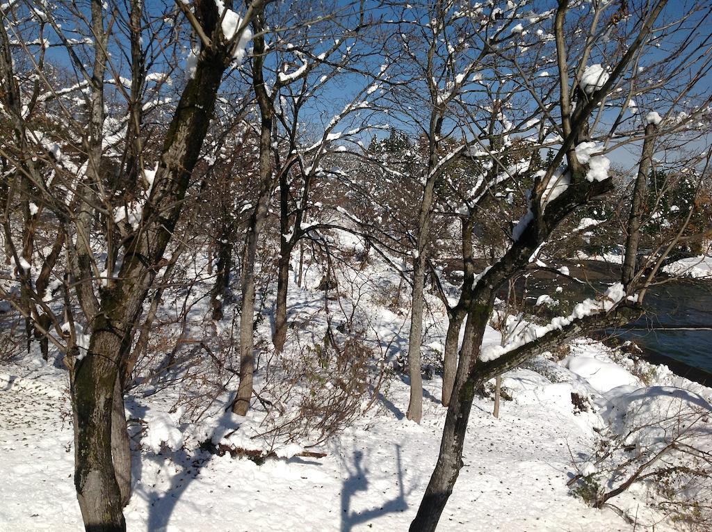 Myoko Kogen Pension Yamasan מראה חיצוני תמונה