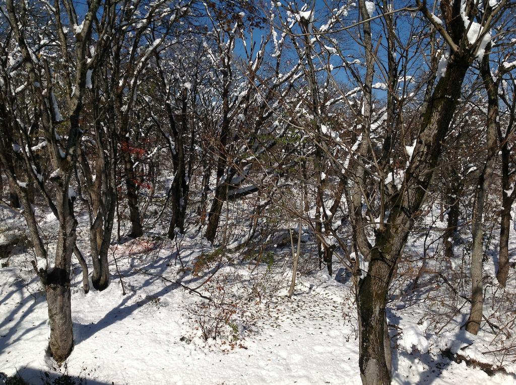 Myoko Kogen Pension Yamasan מראה חיצוני תמונה